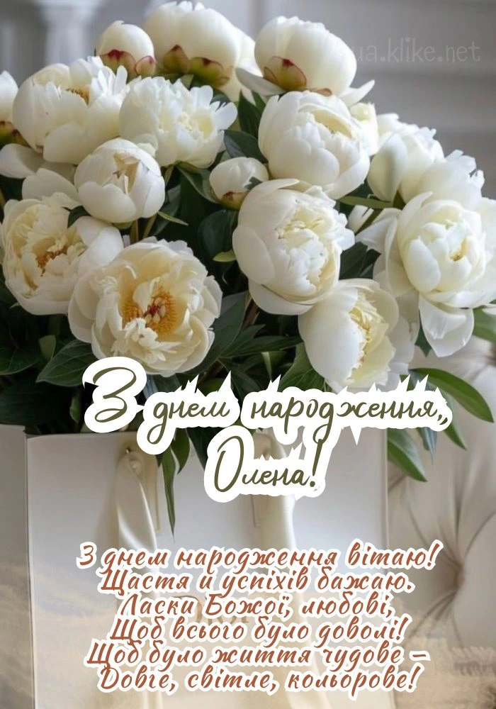Білі піони в подарунковій упаковці з привітанням Олені.