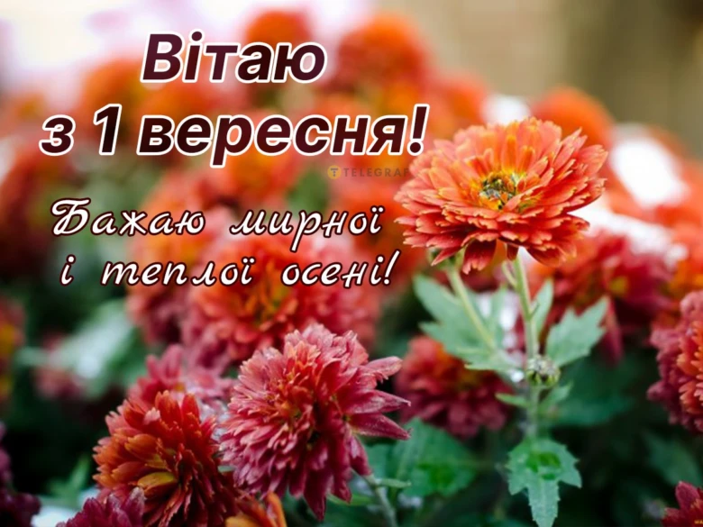 Квіти та привітання з першого вересня українською мовою.