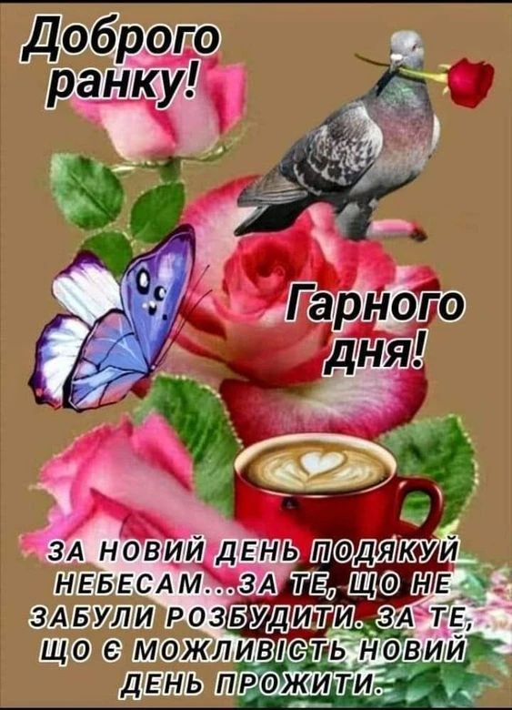 Квіти, метелик, кава та голуб з трояндою