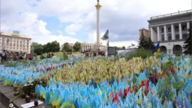 Поле з українських прапорів як пам'ятник героїв на Майдані Незалежності