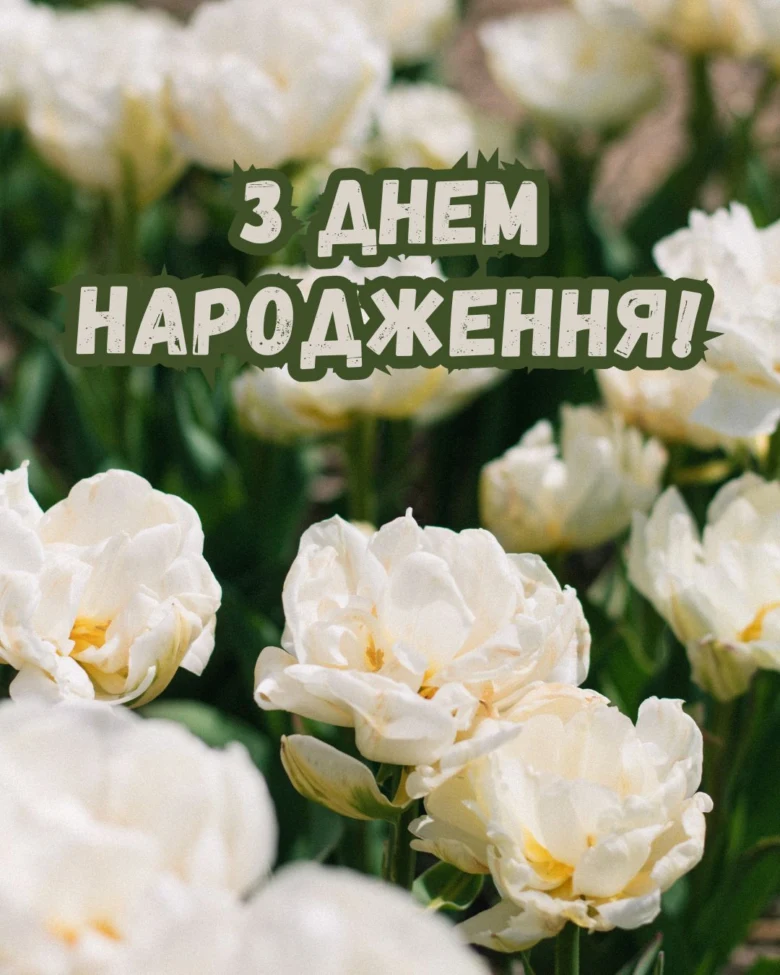 Білі квіти з українським привітанням на день народження.