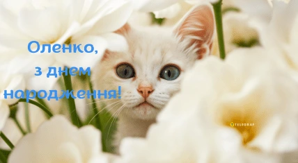 Білий кіт серед білих квітів з привітанням на день народження.