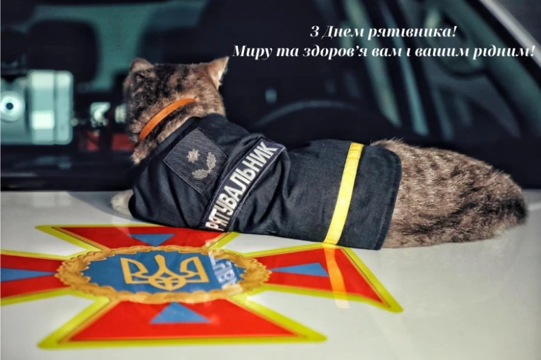 Кіт у формі рятувальника на автомобільній емблемі України.