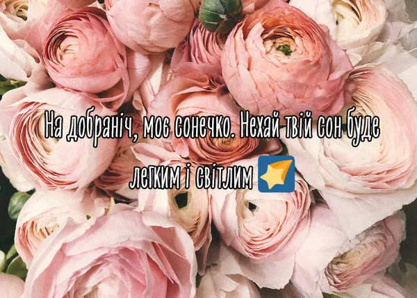 Розові квіти з українським привітанням на добраніч.