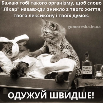 Коти в лікарняному ліжку з побажанням швидкого одужування.